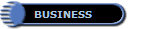   BUSINESS